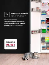 Холодильник двухкамерный отдельностоящий с инвертором LEX LSB530DgID — фотография 2